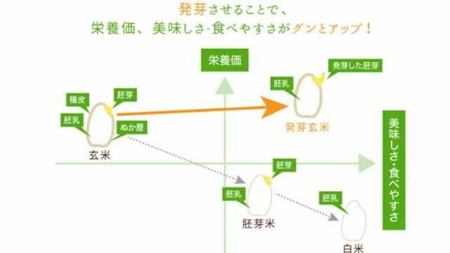 玄米発芽炊飯器ライカベルの効果