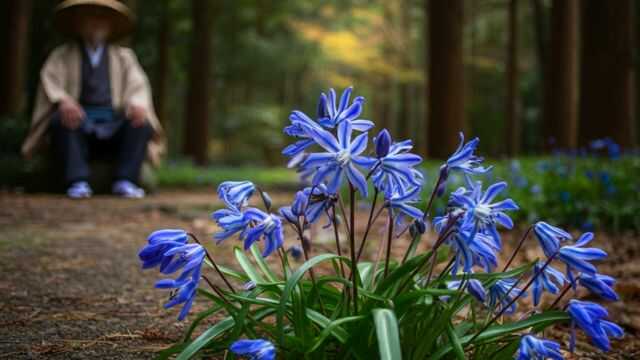 秋の七草に星型の花が！桔梗の魅力と覚え方