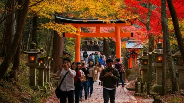 【SNS映え】紅葉の満開はこんな言い方