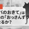 【考察】『シバのおきて』は第2の『おっさんずラブ』になるか？