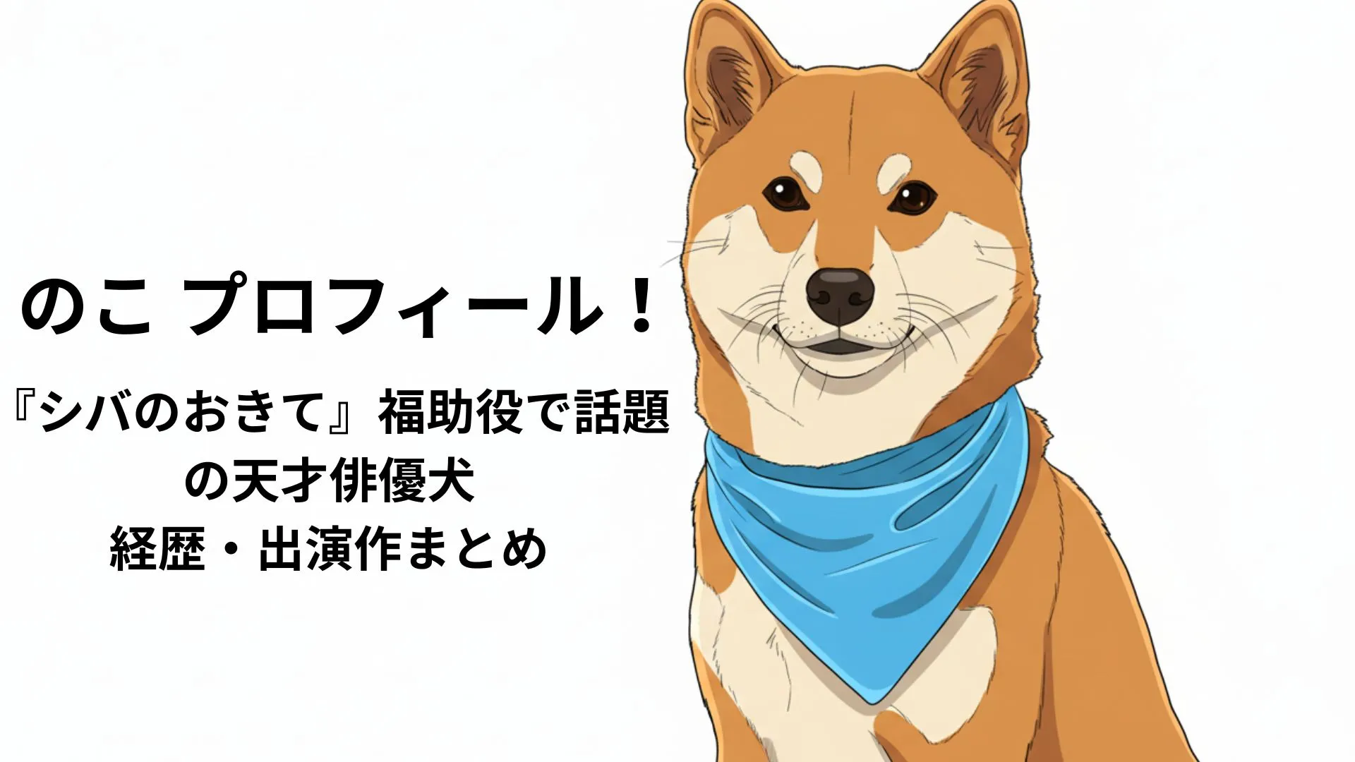 のこ プロフィール