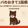 【シバのおきて1話感想】福助（のこ）が可愛すぎ！